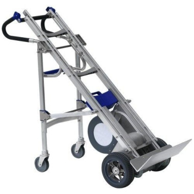 Salire le scale--Auto 330kg (elettrico)