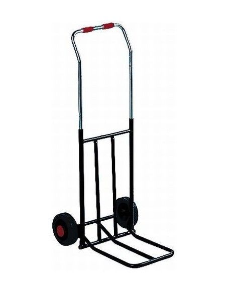 Carros manuales y eléctricos--Carro plegable negro