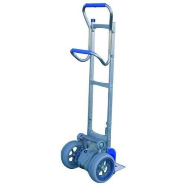 Salire le scale--Auto 170kg (elettrico)
