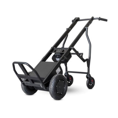 Carros manuales y eléctricos--Carrito de reparto eléctrico 160 Kg 2