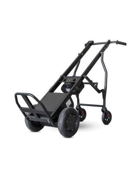Manual and electric carts-- Electric delivery Cart 160 Kg