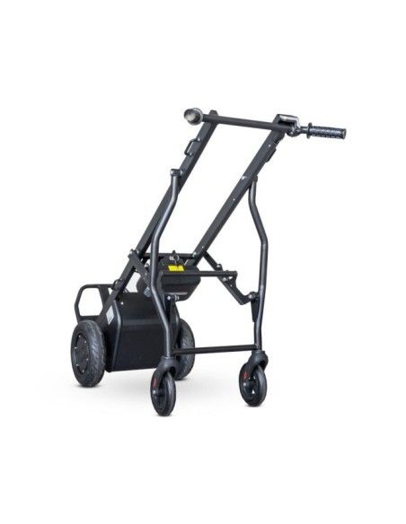 Carrelli manuali ed elettrici-- Carrello di consegna elettrico 160 Kg