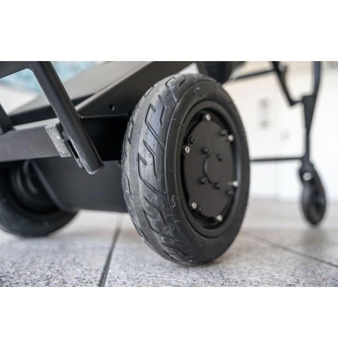 Manuelle und elektrische Wagen-- Elektrischer Lieferwagen 160 Kg
