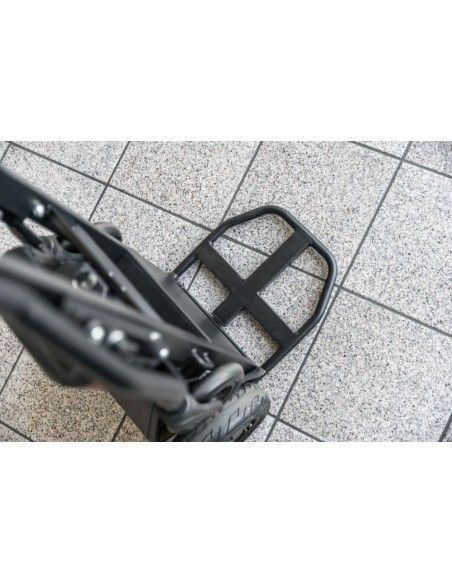 Carrelli manuali ed elettrici-- Carrello di consegna elettrico 160 Kg