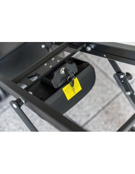 Manual and electric carts-- Electric delivery Cart 160 Kg
