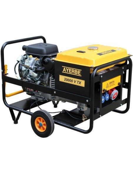 Portable Generator Sets--Generator 20kva TX E Motor Vanguard - Gasoline