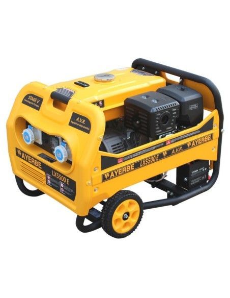 Groupes Générateurs Portables--Generator Gasoline LX5500 E KT-190