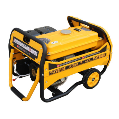 Portable Generator Sets--Generator Gasoline LX5500 E KT-190 2