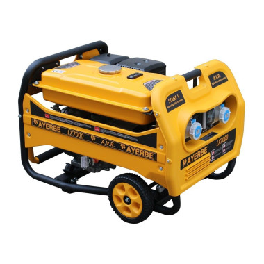 Tragbare Erzeugungsgruppen--Generator Benzin LX7000 KT-192 2