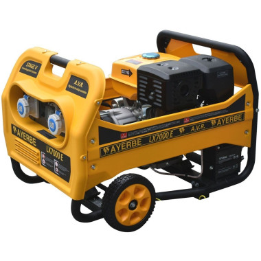 Grupos electrógenos portátiles--Generador Gasolina LX7000 E KT-192