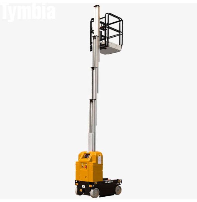 Piattaforme per Persona Singola-TYMBIA-Piattaforma di sollevamento albero verticale con braccio 7,5m-125kg