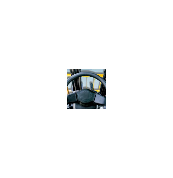 Gabelstapler-Gabelstapler Diesel 2500kg - Triplex 4700mm - Euro5-Mast