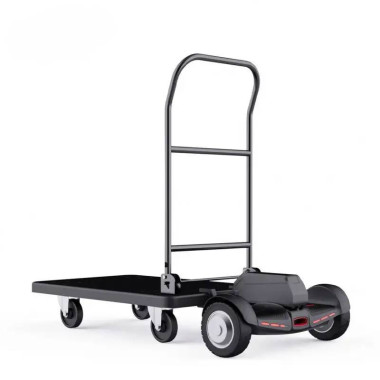 Auto Piattaforma elettrica 200 kg Carico