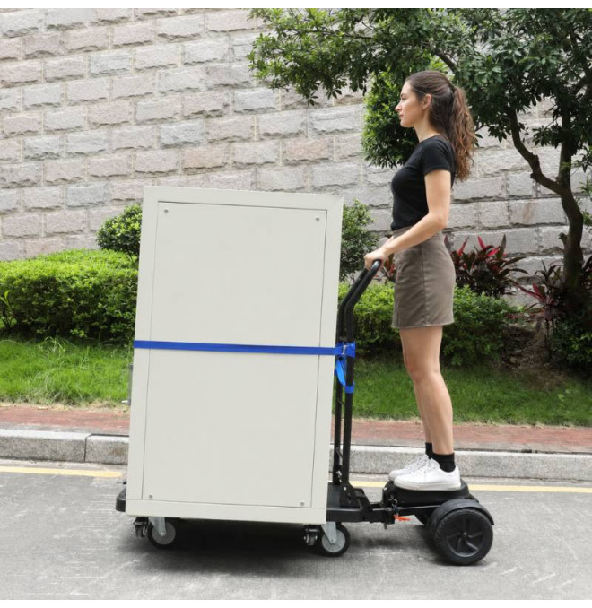 Cart Electrical platform 200 kg load