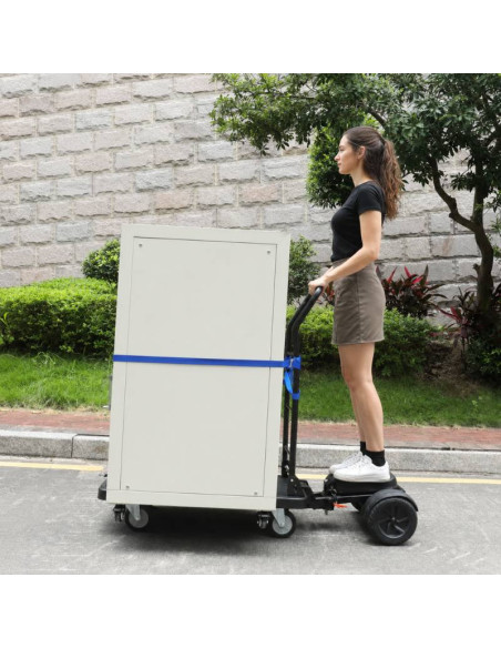 Cart Electrical platform 200 kg load