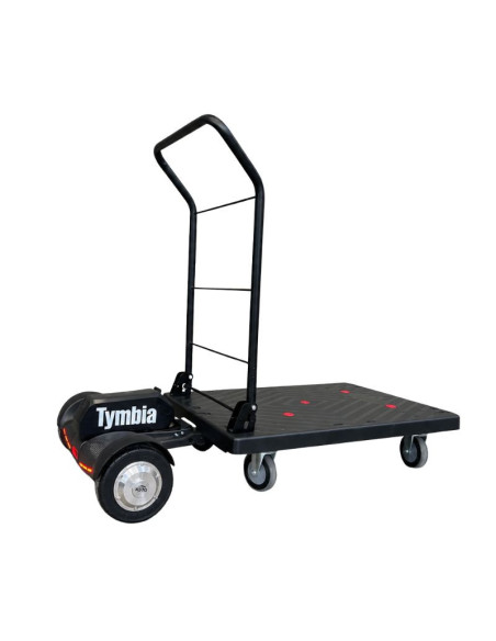 Plateforme motorisée de 200 kg | TYMBIA