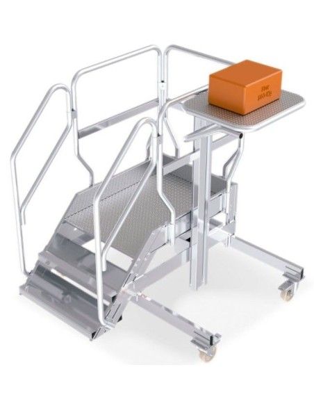 Stairs--Ladder with Platform for Work and Elevation Load Plan