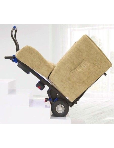 Salire le scale--Auto 130 kg (elettrico)
