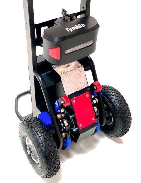 Salire le scale--Auto 130 kg (elettrico)