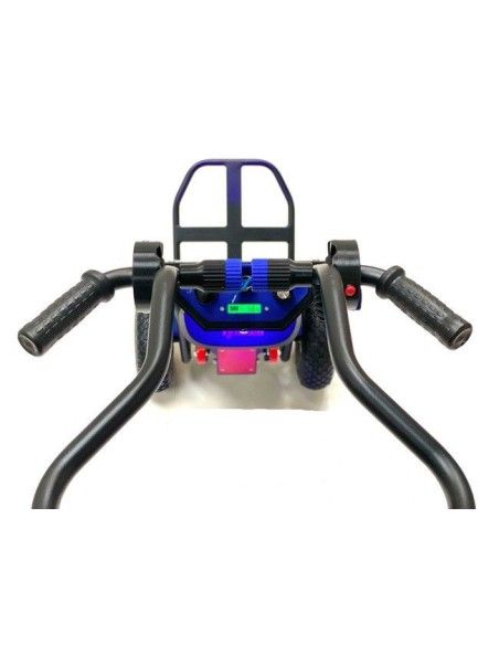 Salire le scale--Auto 130 kg (elettrico)
