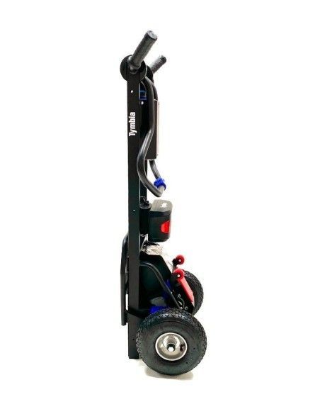 Salire le scale--Auto 130 kg (elettrico)
