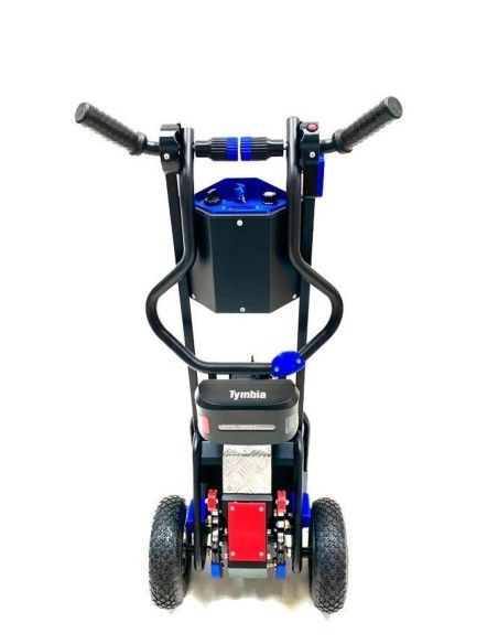 Salire le scale--Auto 130 kg (elettrico)