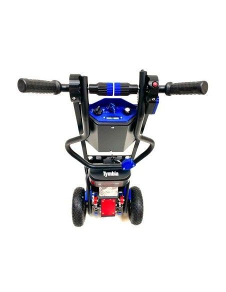 Salire le scale--Auto 130 kg (elettrico)