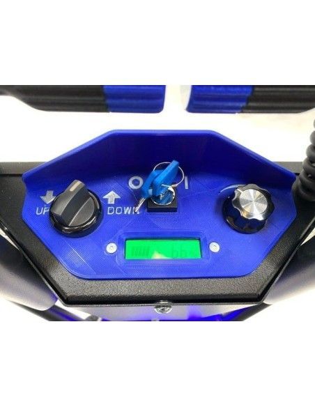 Salire le scale--Auto 130 kg (elettrico)