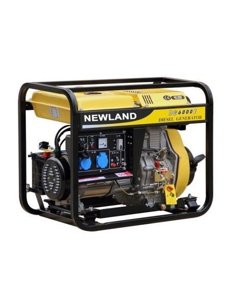 Gruppi Elettrogeni Portatili--Generatore 5.5Kw (figlio)