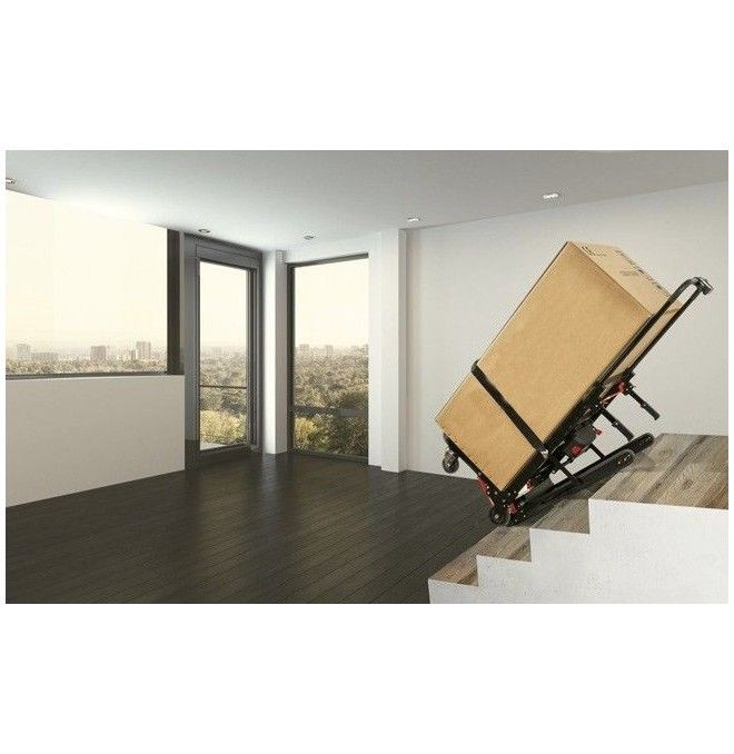 Treppen steigen--Auto Oruga subscaleras 160kg