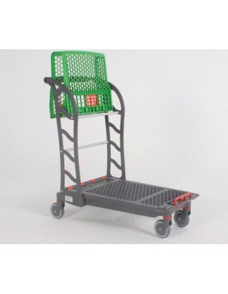 Supermarkets and warehouses--Carrito autoservice plastic with basket